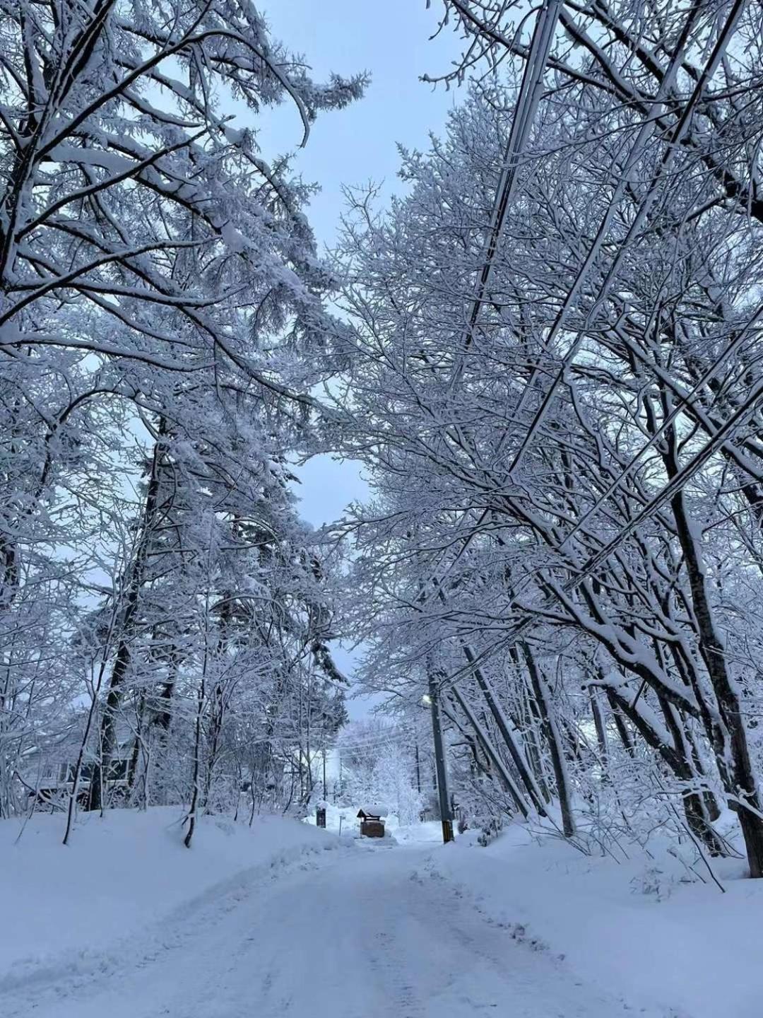 Natural Hot Spring Hakuba Symphony Exterior photo
